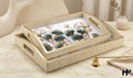 Leatherite Enamel Tray set